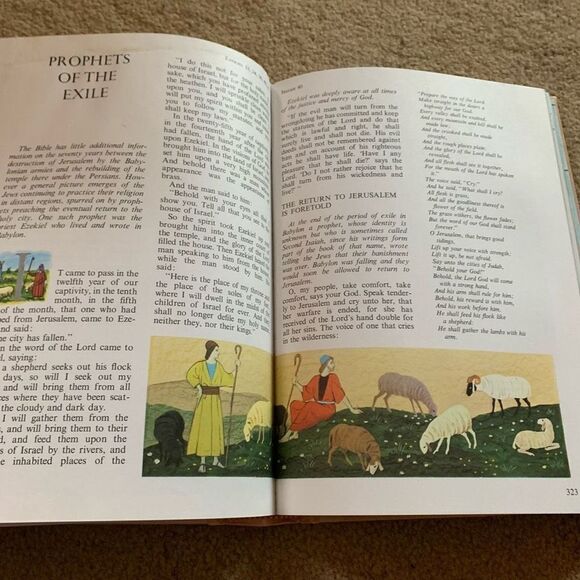 The Golden Children’s Bible 1993 Colorful Illustrated Old And New Testament - Picture 9 of 12